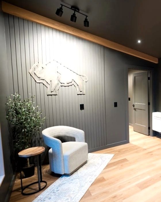 Wood shiplap interior wall